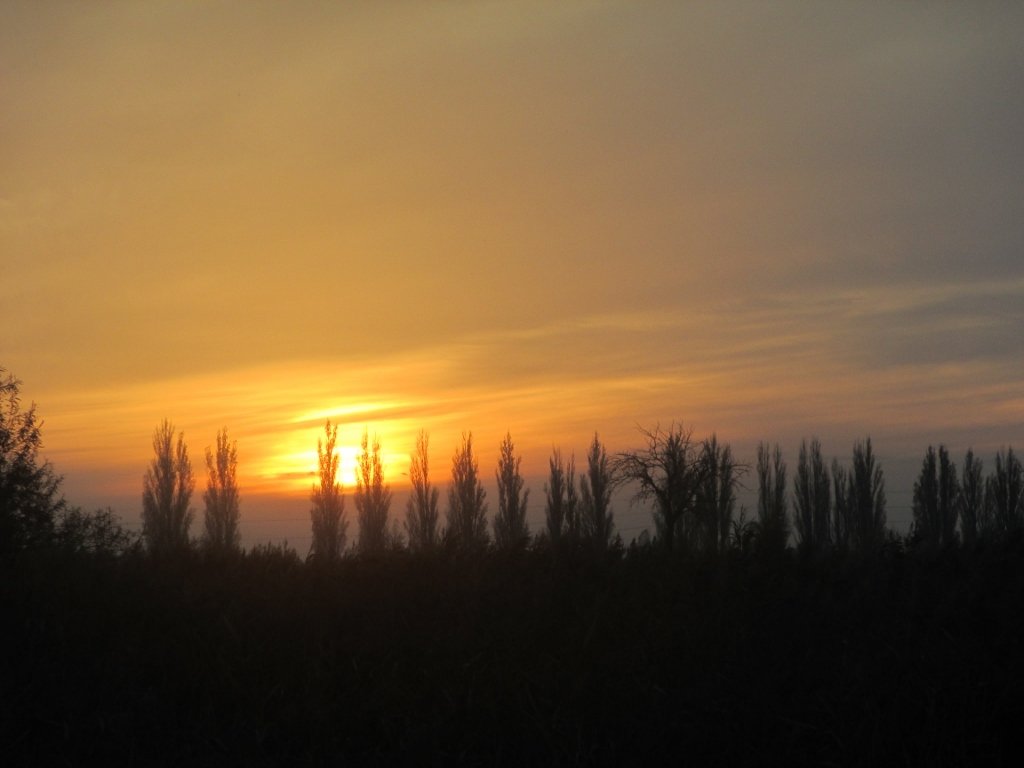 Ostrá